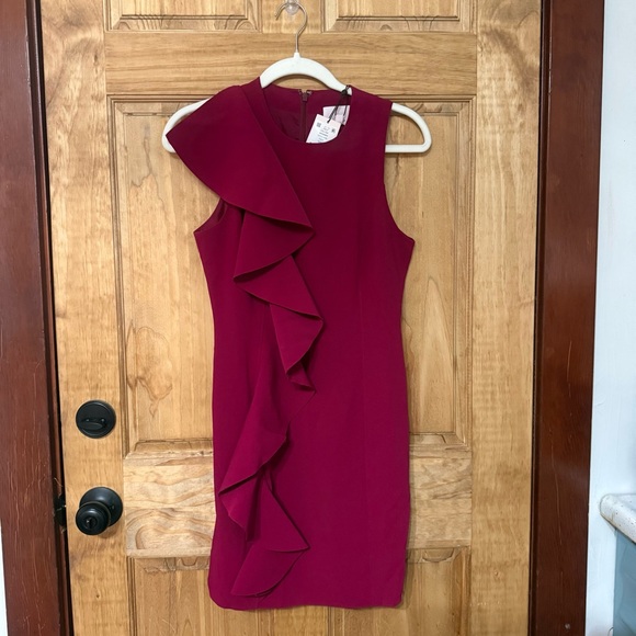 Cinq à Sept Fuchsia One Shoulder Dress - Picture 3 of 9